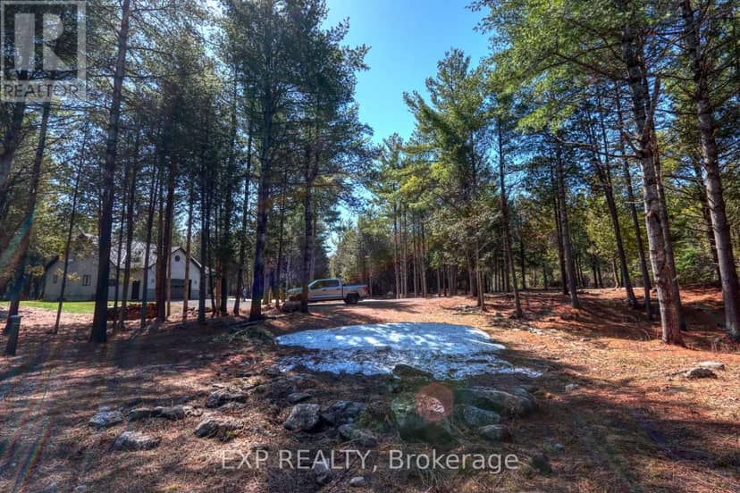 593 County 40 Road, Douro-Dummer, photo 4