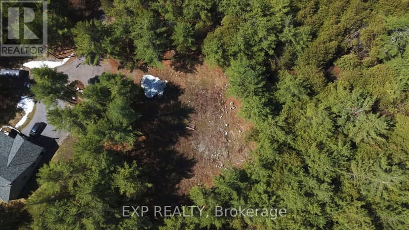 593 County 40 Road, Douro-Dummer, photo 5