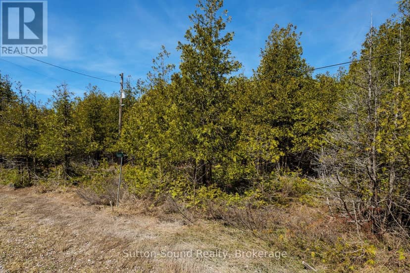 146 Sutter Road — photo 5 of 21