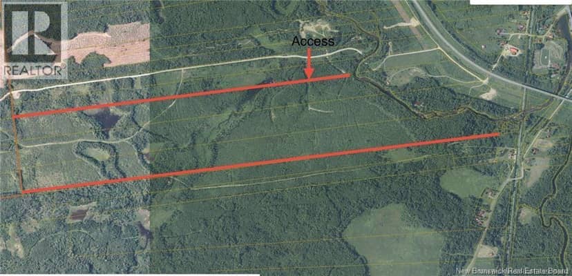 243 Acres Little River Road — photo 5 of 6