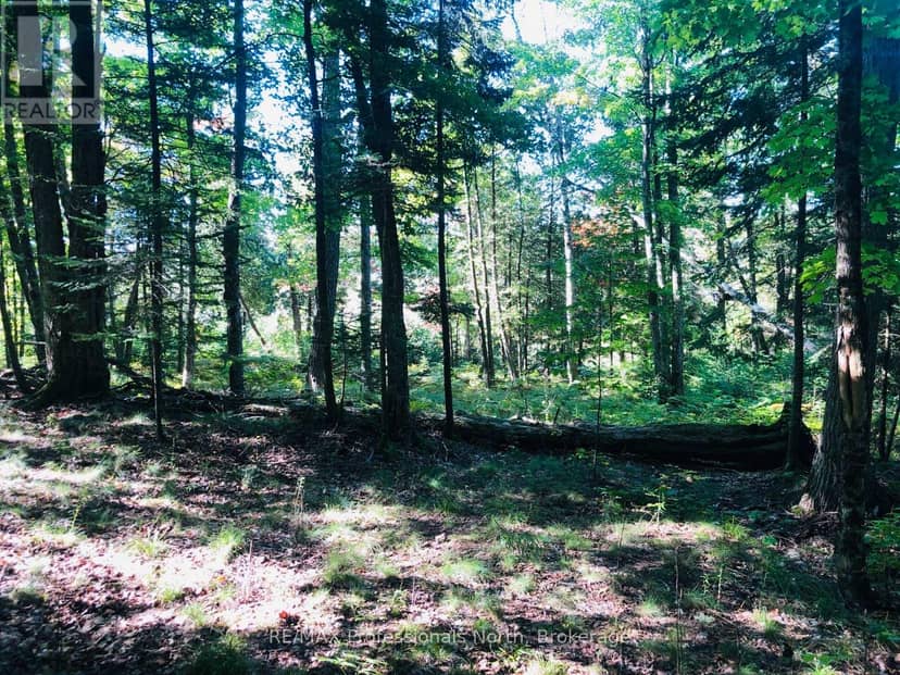 0 Glamor Lake Road — photo 12 of 16