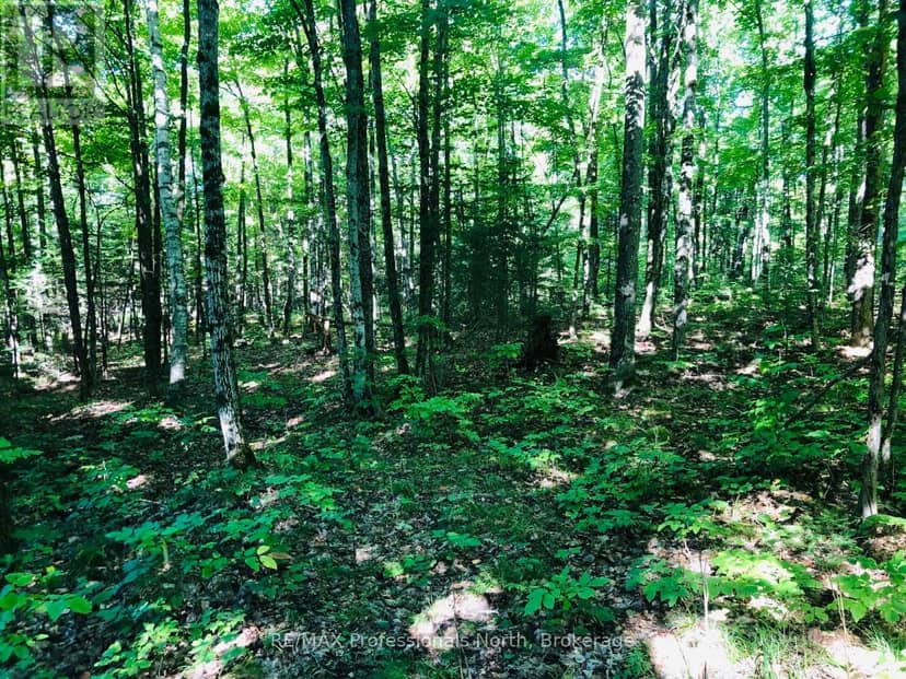 0 Glamor Lake Road — photo 16 of 16