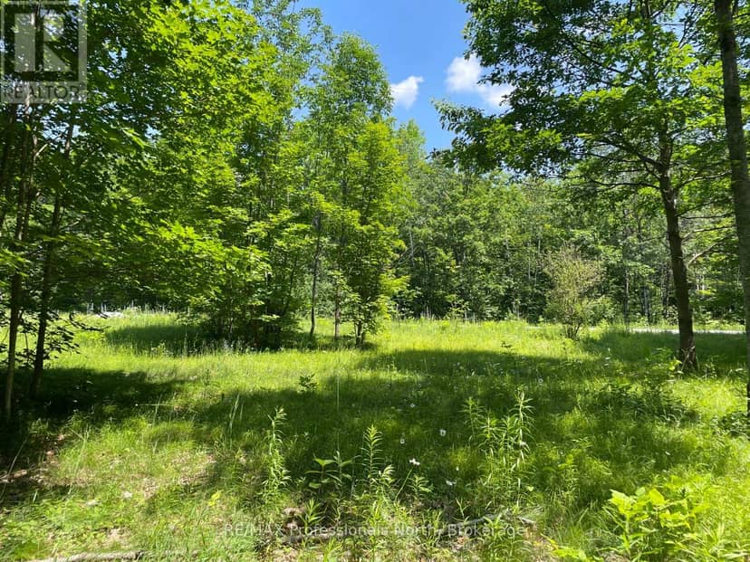 0 Glamor Lake Road, Highlands East, photo 7