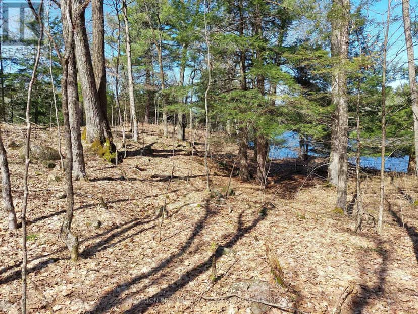 0 Murphy's Island — photo 20 of 40