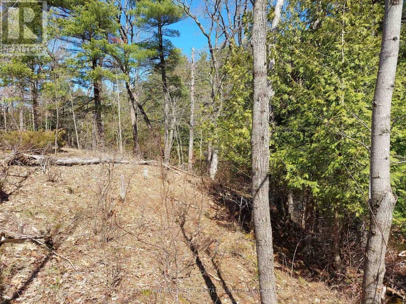 0 Murphy's Island — photo 13 of 40