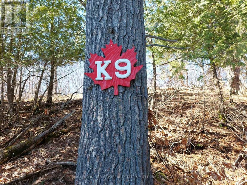 0 Murphy's Island — photo 24 of 40