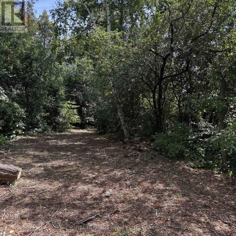 1835 Pine Grove Avenue — photo 3 of 4