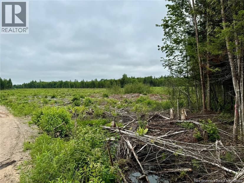 51.4 Hec Route 108, Renous, photo 5