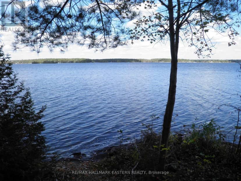 1420 Island 76 Stoney Lake — photo 1 of 26