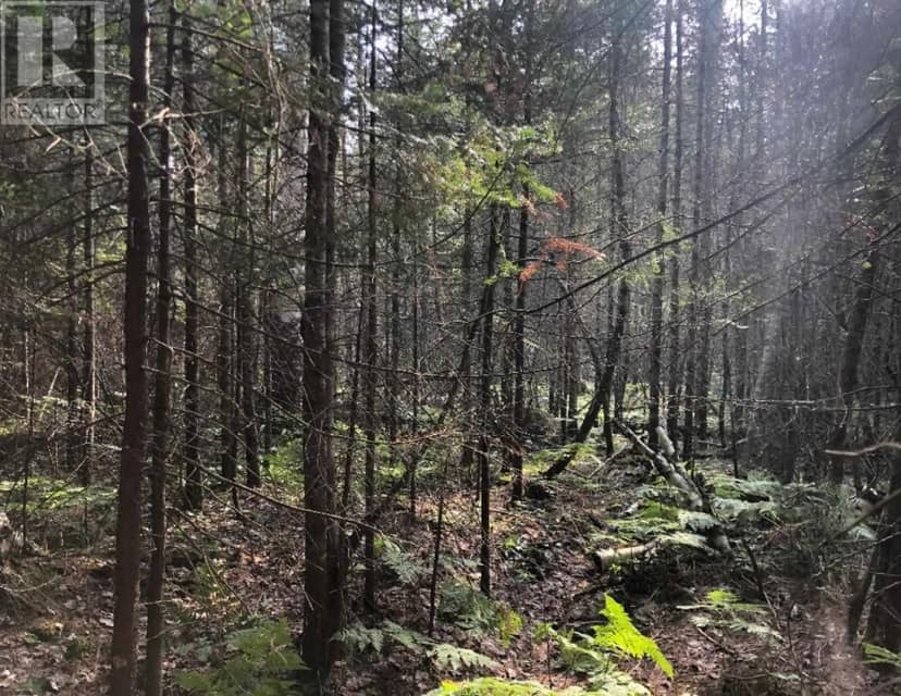 . Pt Sec 2 Lefroy As In T451578; Huron Shores — photo 9 of 12