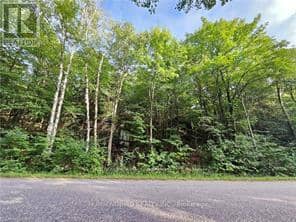 Lot 184 Alsace Road — photo 19 of 20