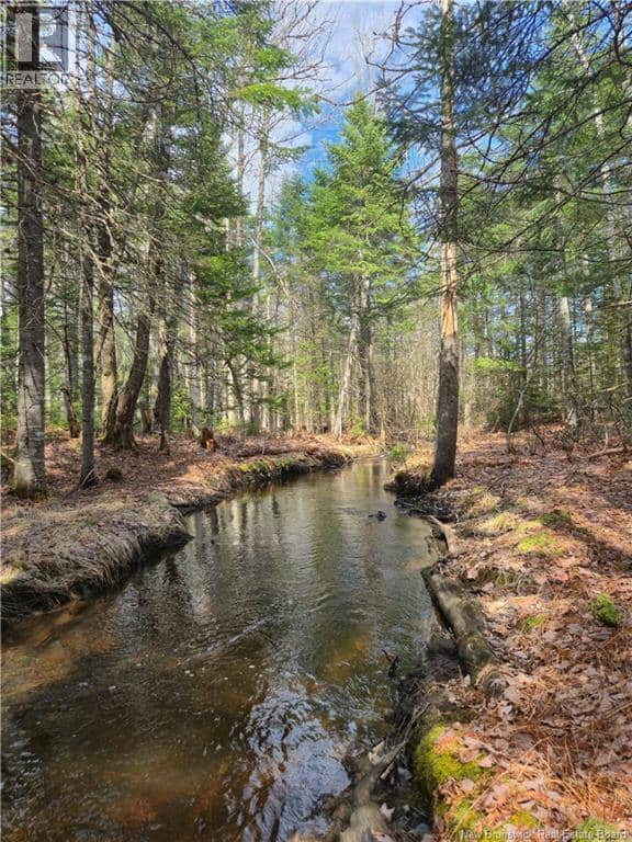 LOT 25-1 Niagara Road, Pine Glen, photo 7
