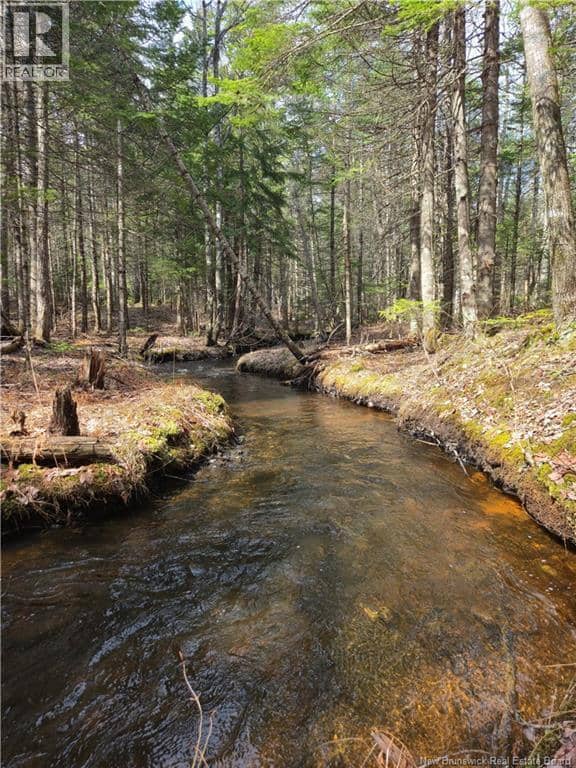LOT 25-1 Niagara Road, Pine Glen, photo 5