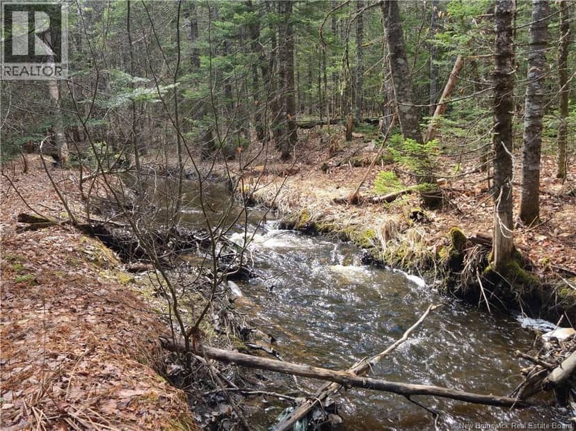 LOT 25-1 Niagara Road, Pine Glen, photo 2