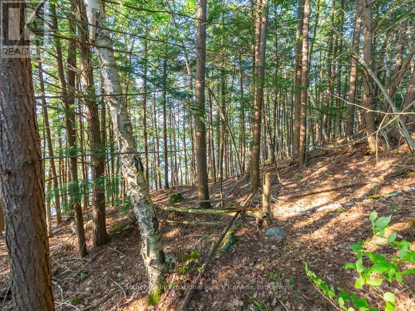 LOT#2 - 1250 Waldmere Road — photo 10 of 12
