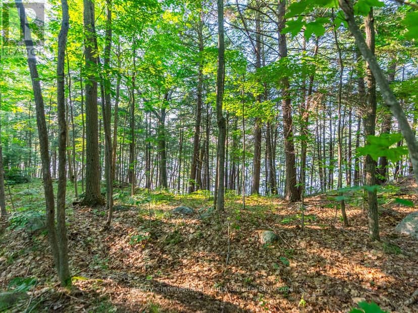LOT#2 - 1250 Waldmere Road — photo 11 of 12