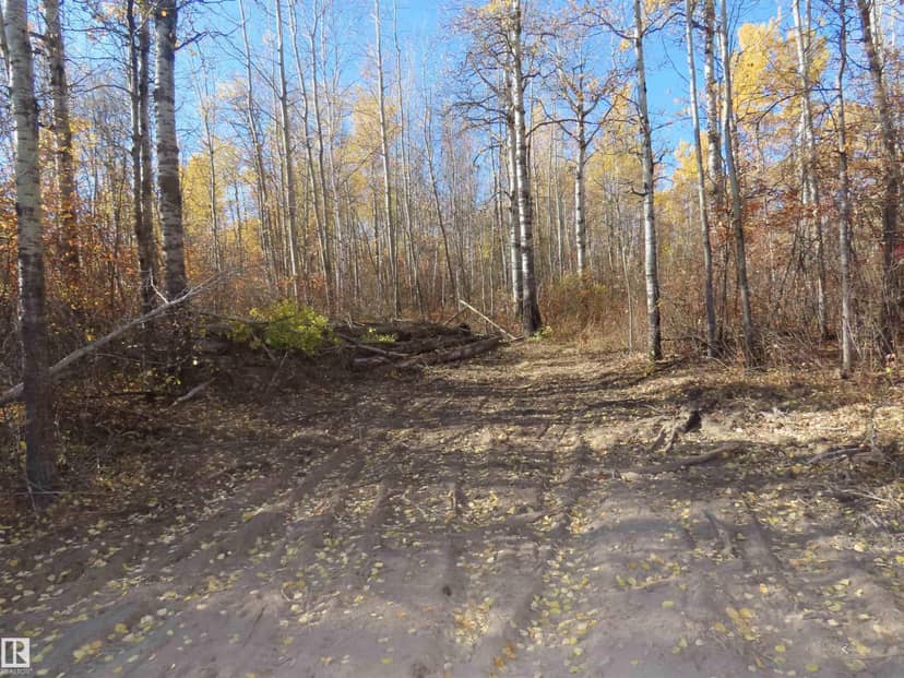 RR 31 Museum Road, Rural Lac Ste. Anne County, photo 6