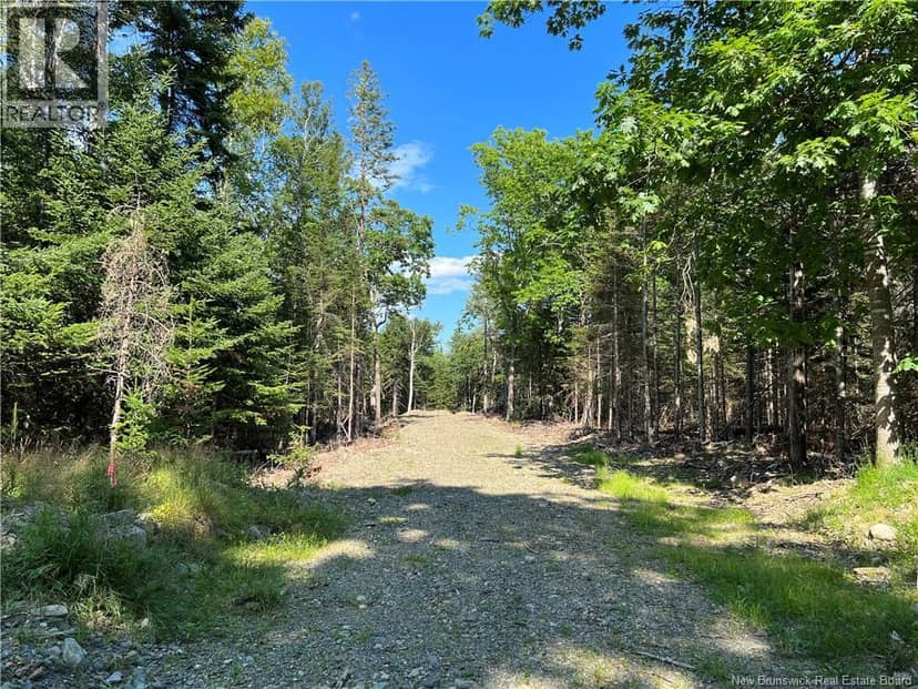 Hills Point Road — photo 1 of 3