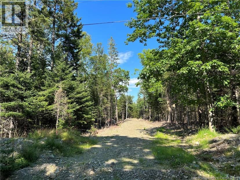 Hills Point Road — photo 2 of 3
