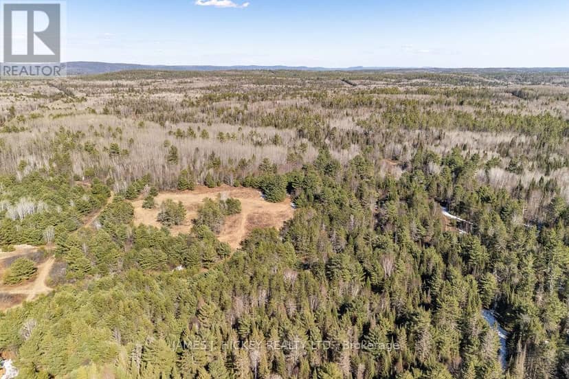 38589 Hwy 17 Highway — photo 17 of 25