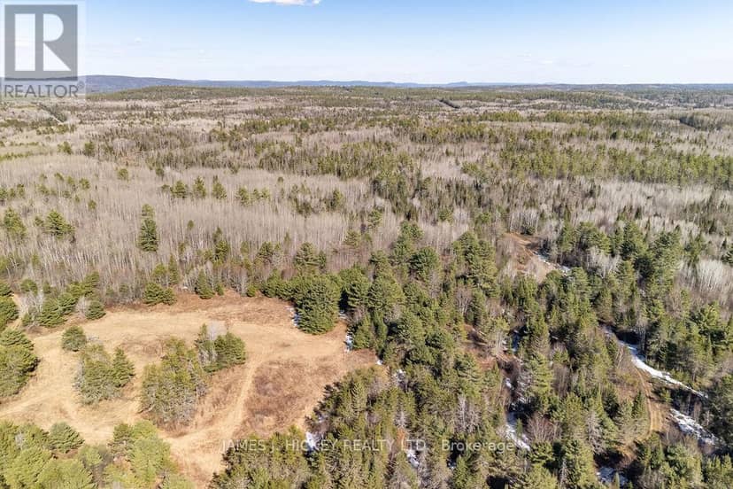 38589 Hwy 17 Highway — photo 18 of 25