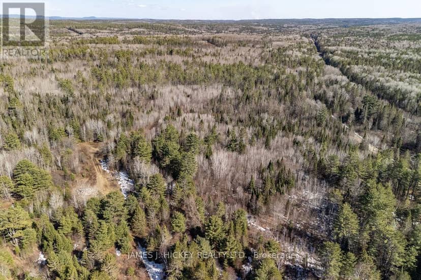 38589 Hwy 17 Highway — photo 20 of 25