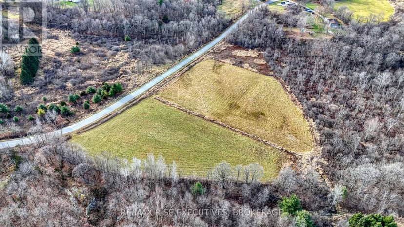 260 Briar Hill Road — photo 5 of 7