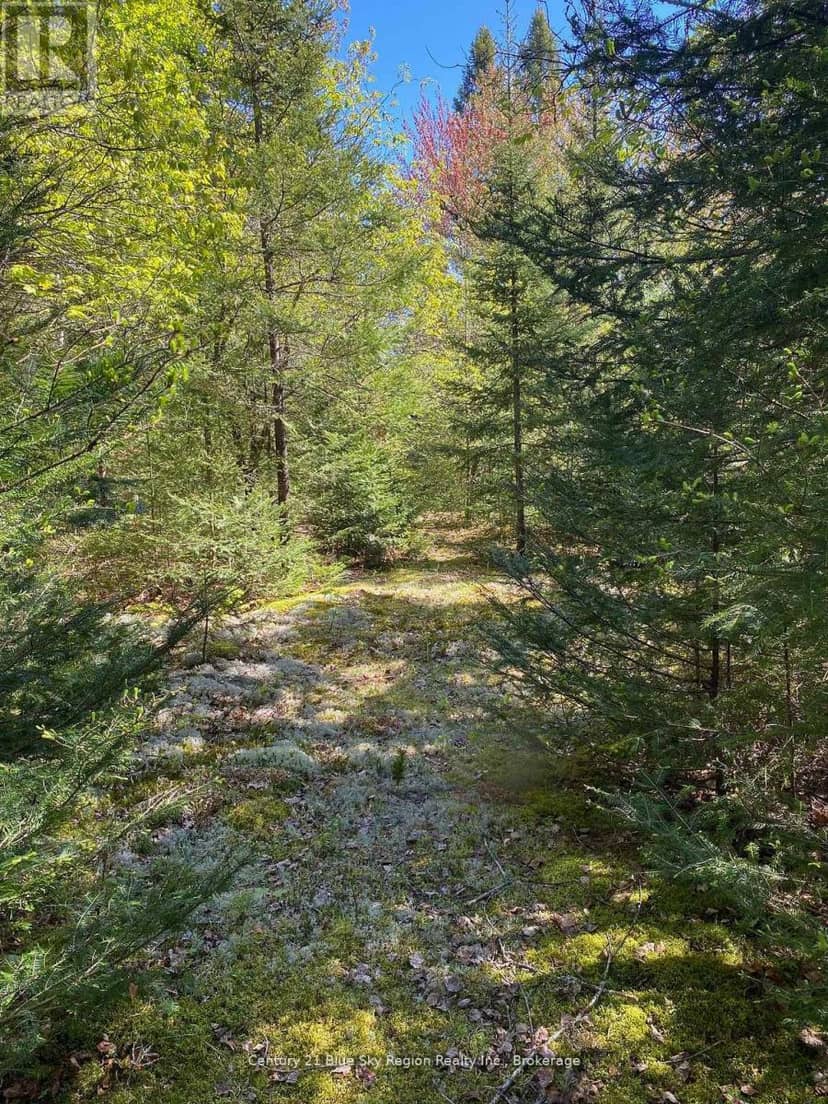 471 Weiler Line — photo 14 of 23