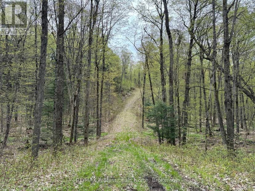 Lot 165 Glen Lake Court, Dysart et al, photo 6