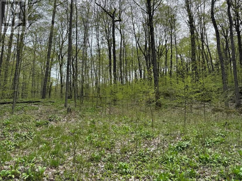 Lot 166 Glen Lake Court — photo 14 of 18