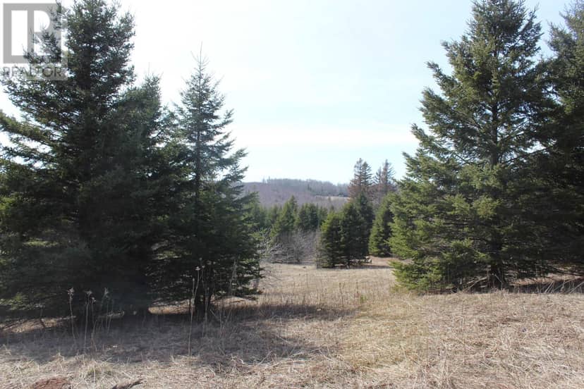 Lot 25-1 Dixon Road — photo 5 of 6