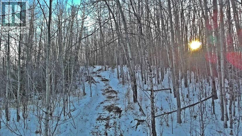 Lot 13 RR14, Rimbey, photo 3