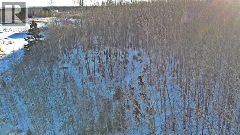 Lot 13 RR14, Rimbey, photo 5