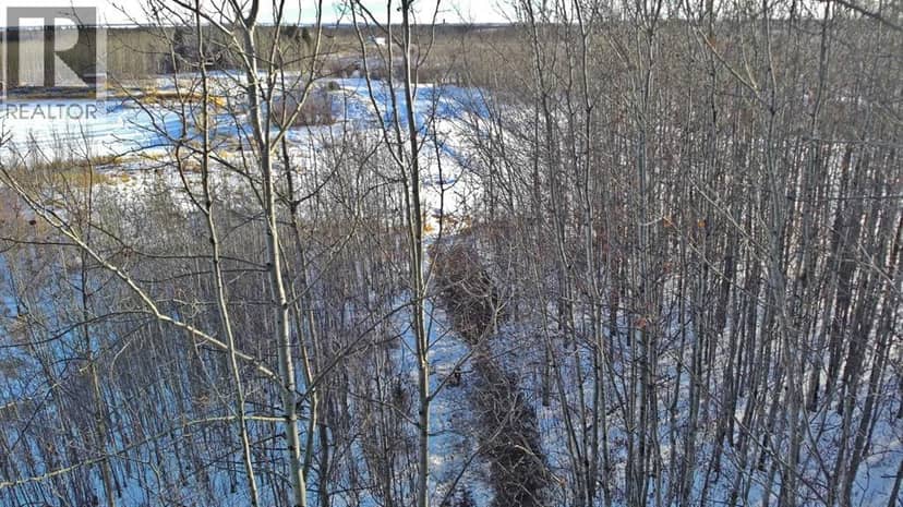 Lot 13 RR14, Rimbey, photo 6