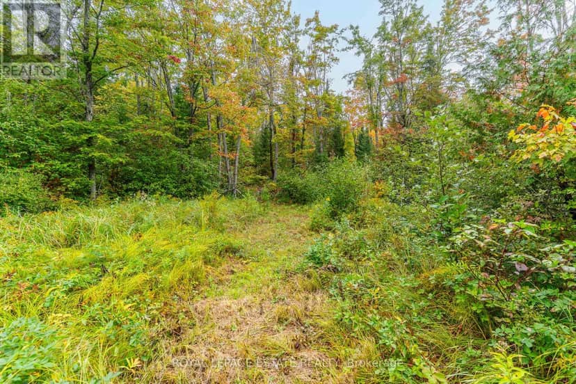 Block B Crego Lake Road — photo 10 of 13