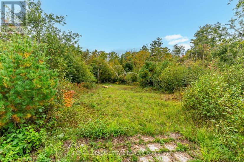 Lot 18 Crego Lake Road — photo 11 of 20