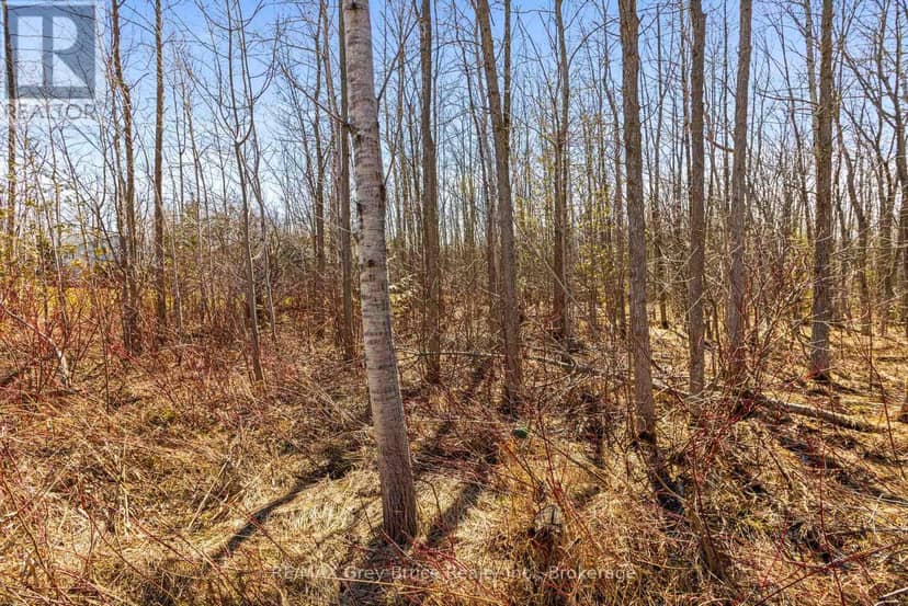 Part 28 Maple Drive — photo 10 of 30