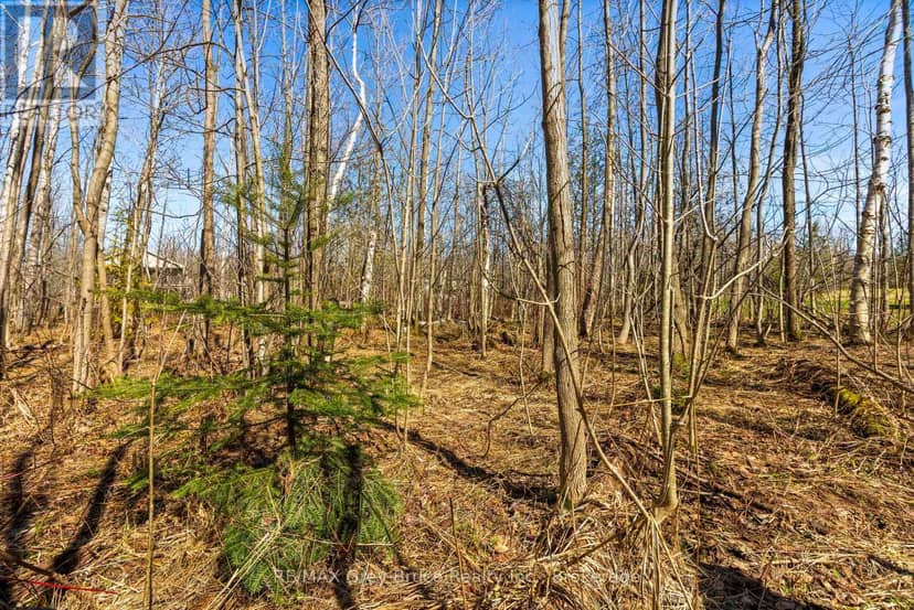 Part 28 Maple Drive, Northern Bruce Peninsula, photo 4