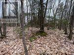 Lot 705 Wolfe Trail — photo 2 of 12