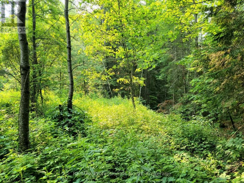 26 - 35 Mount Vernon Trail, Huntsville, photo 2