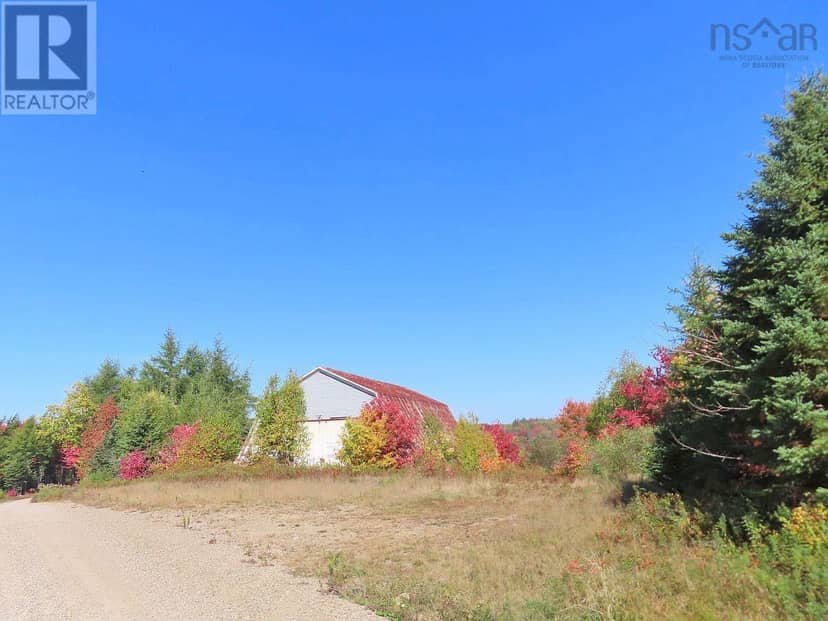 62 Acres West Side Road — photo 9 of 40