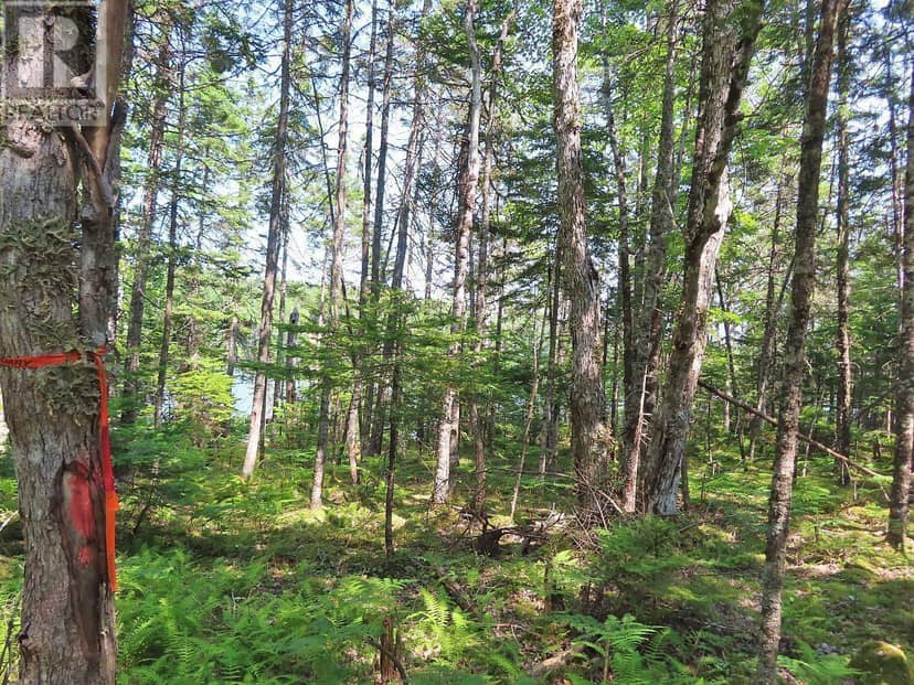Lot 2 Lower River Road — photo 14 of 40