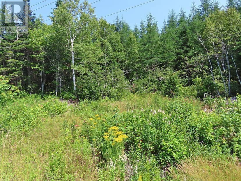 Lot 2 Lower River Road — photo 17 of 40