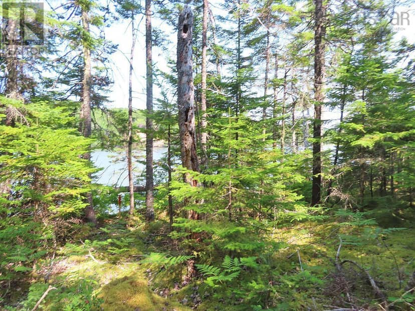 Lot 2 Lower River Road — photo 13 of 40