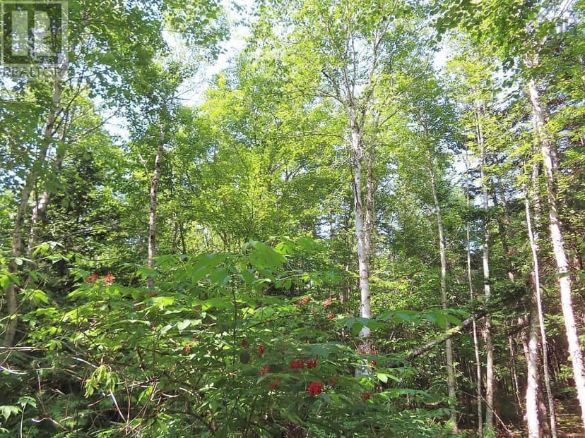 Lot 2 Lower River Road — photo 16 of 40