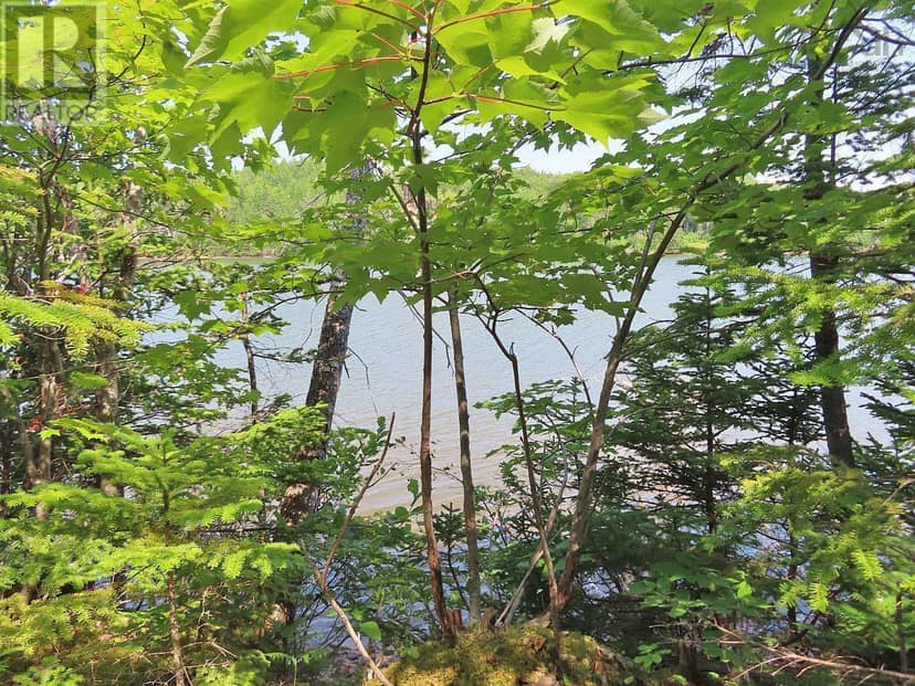 Lot 2 Lower River Road — photo 10 of 40