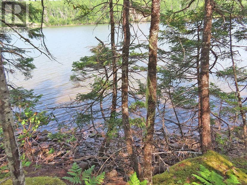 Lot 2 Lower River Road — photo 8 of 40