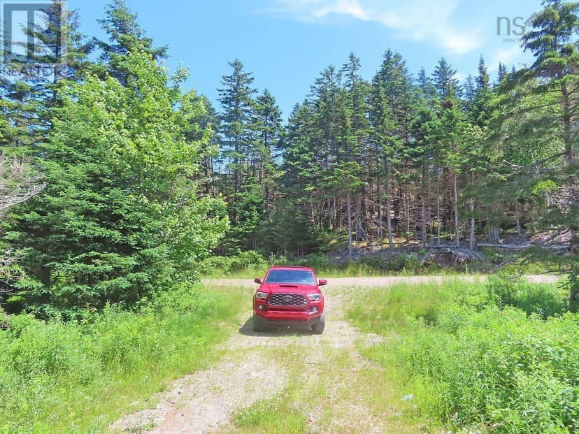 20 Acres Upper Grand Mira Road — photo 11 of 39