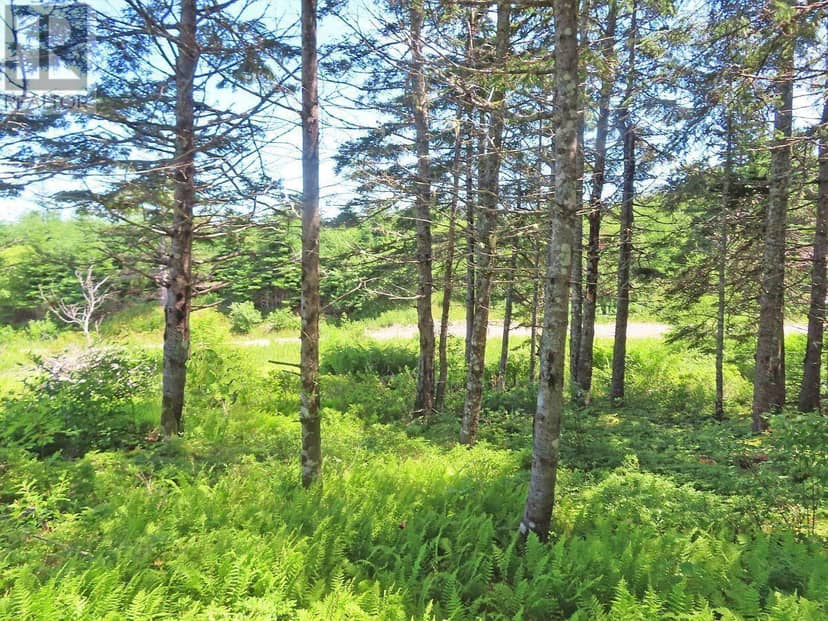 20 Acres Upper Grand Mira Road — photo 10 of 39