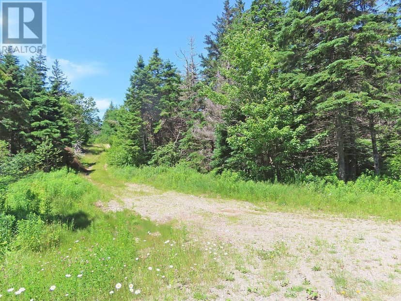 20 Acres Upper Grand Mira Road — photo 14 of 39